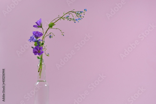 pink flower in a glass vase with pink background