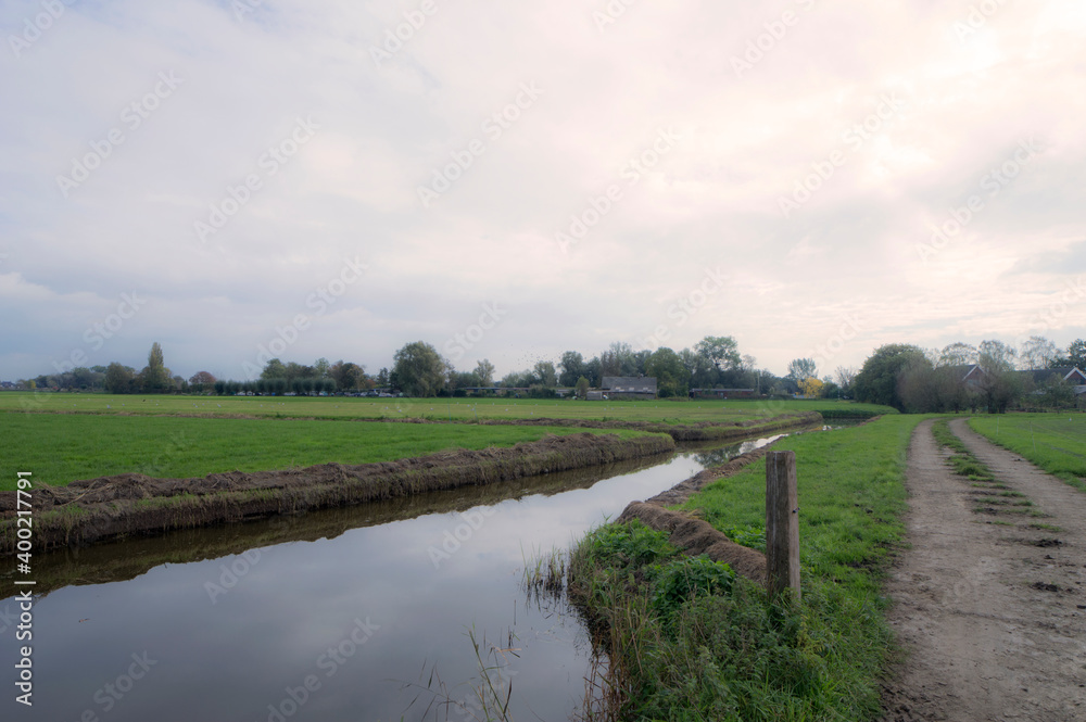 A ditch near Vreeland, The Netherlands A ditch near Vreeland, The Netherlands
