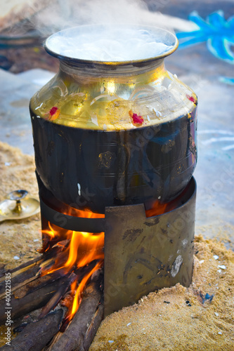 Traditional homemade Thai Pongal festival celebration harvest dedicated farmer celebration cooking colorful rangoli bronze pot wood fire wood stove wallpaper photo