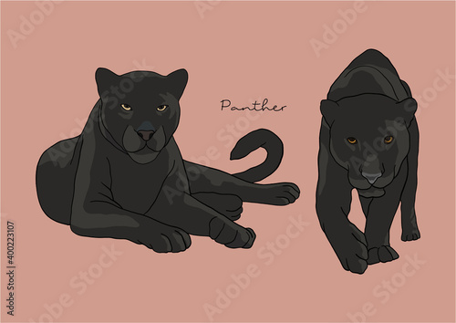 Vector Illustration of Black Panther