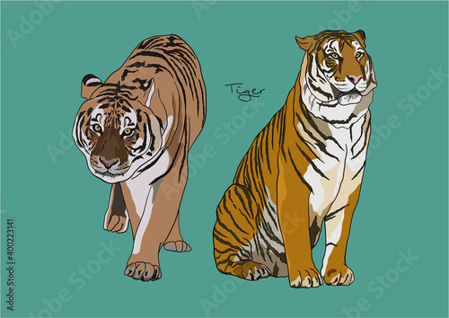 Vector Illustration of Tiger