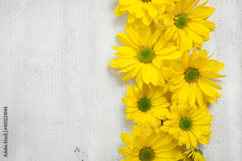 Beautiful Greeting cards for the holiday March 8th  Mothers Day  Birthday. Background with Yellow flowers. 