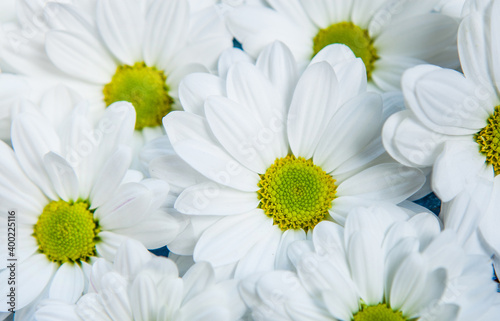 Flowers over painted wooden table. Flowers background for text. Floral background  flower border. Blossom flowers.