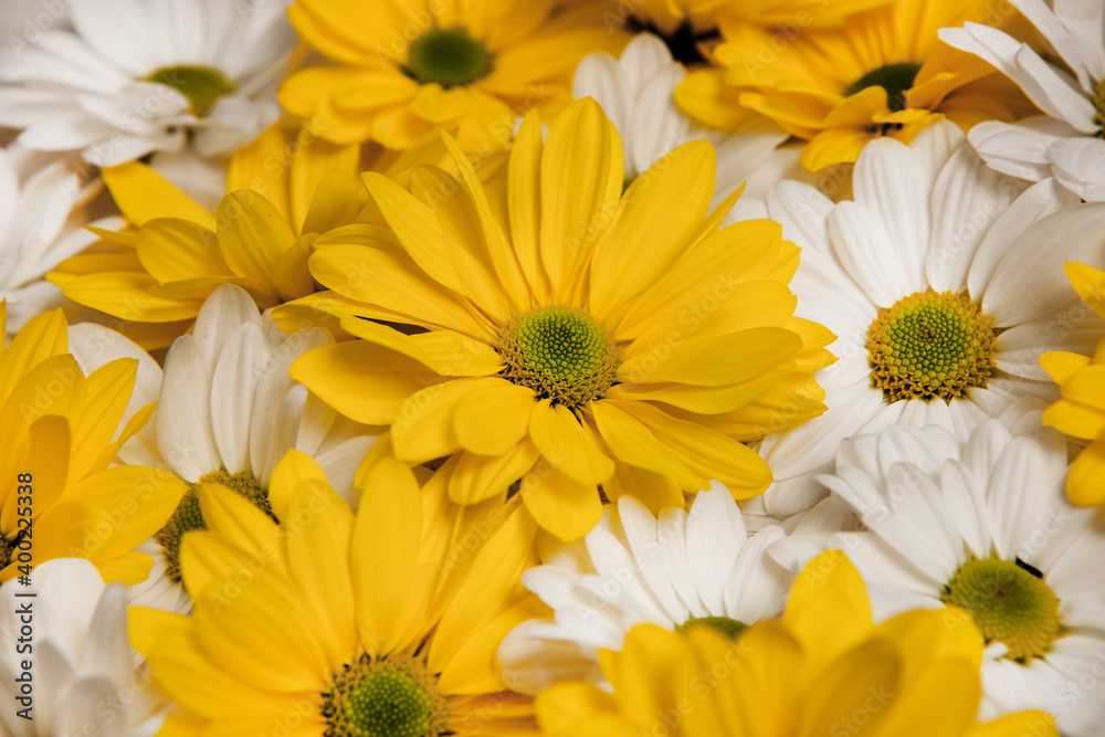 Flowers over painted wooden table. Flowers background for text. Floral background, flower border. Blossom flowers. Flowers over painted wooden table. Flowers background for text. Floral background, flower border. Blossom flowers.