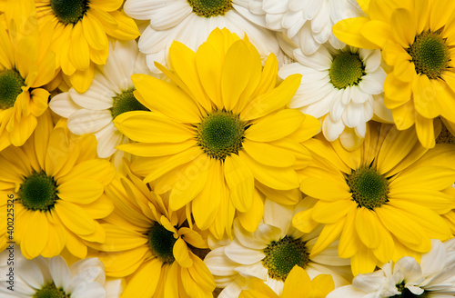 Flowers over painted wooden table. Flowers background for text. Floral background  flower border. Blossom flowers.