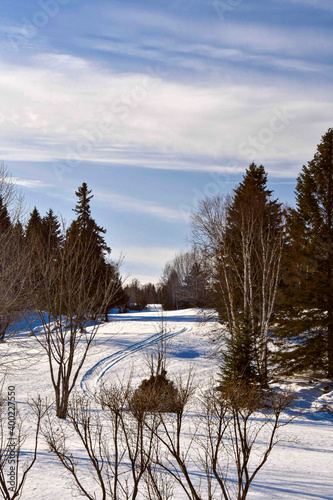 Snowmobile trail in the Canadian forest in Quebec