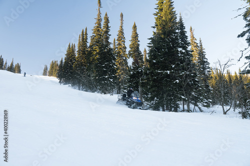 snowmobile down a snow slope, scenic weight, evergreen trees