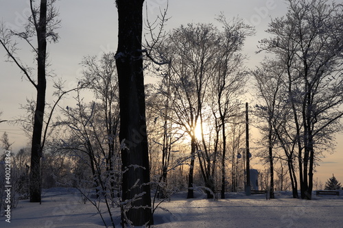 sunset in the park