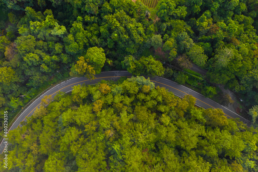 Drone top view of car pass-through the jungle curve road in Chiang Mai, Thailand