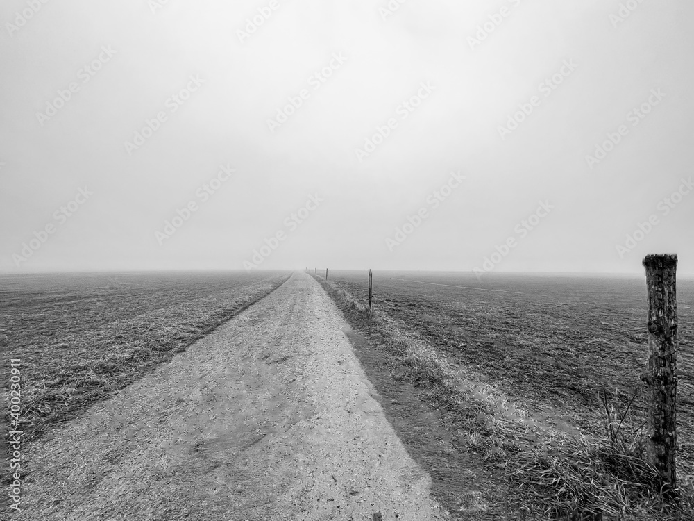 Monochrome photo of a leading straight countryroad into a foggy horizon, typical autumn scenery.
