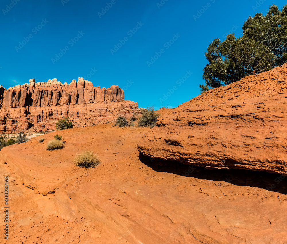 Fototapeta premium The Red Sandstone Formations of The Klondike Bluffs on The Tower Arch Trail, Arches National Park, Utah, USA