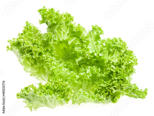 Lettuce isolated on white background