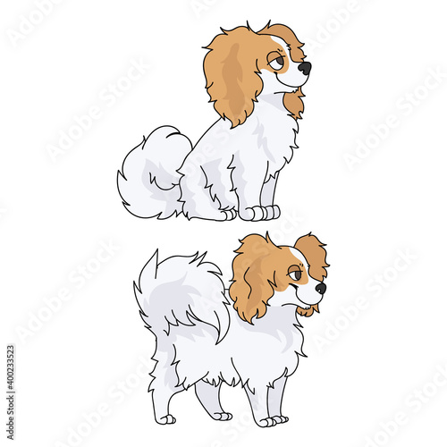 Cute cartoon papillon dog breed vector clipart. Pedigree kennel doggie breed for dog lovers. Purebred domestic dog for pet parlor illustration mascot. Isolated canine fluffy. 