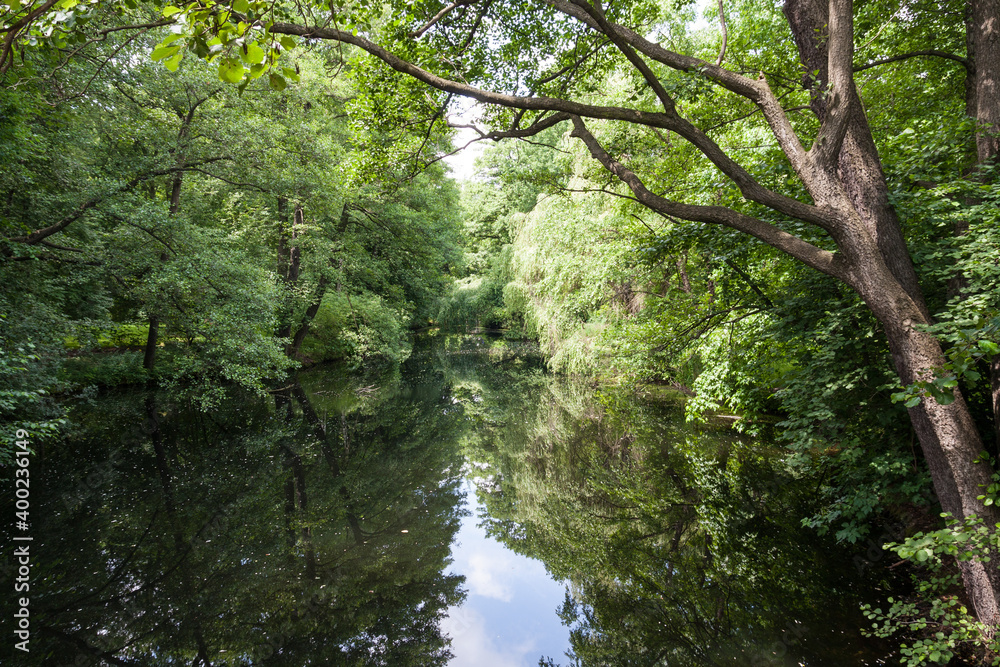 Bachlauf im Wald Bachlauf im Wald