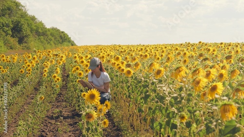 Girl agronomist with a tablet works in a field with sunflower. Grow seeds for squeezing vegetable oil. Make online sales. Modern technologies. Ordering fertilizers online. Collective farmer