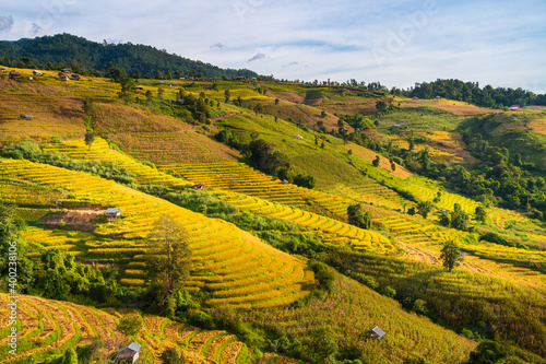 Rice terrace field in Ban Pa Bong Piang village in Mae Chaem District  Chiang Mai Province  Thailand