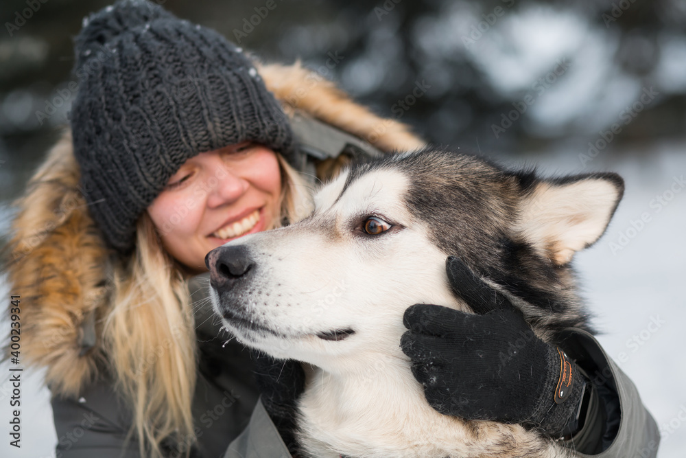 Smiling woman embracing alaskan malamute with love in winter forest . close up. Smiling woman embracing alaskan malamute with love in winter forest . close up.