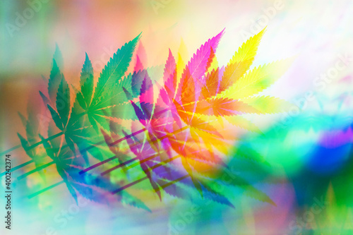 Trippy and psychedelic cannabis leaf. Hallucinations caused by cannabis or marijuana. Weird and wild cannabis background. The use of drugs to alter your mind. 