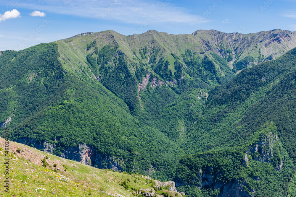 mountain landscape in summer mountain landscape in summer