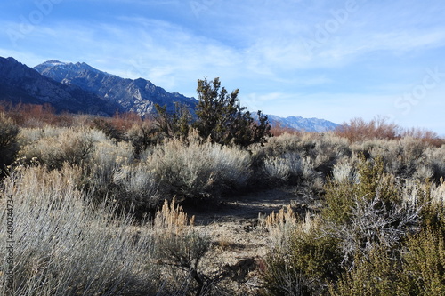 Εκτύπωση καμβά Scenic view of the Eastern Sierra Nevada Mountains off California highway 395