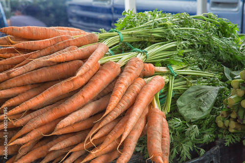 Bunches of carrots , with green tops, at market