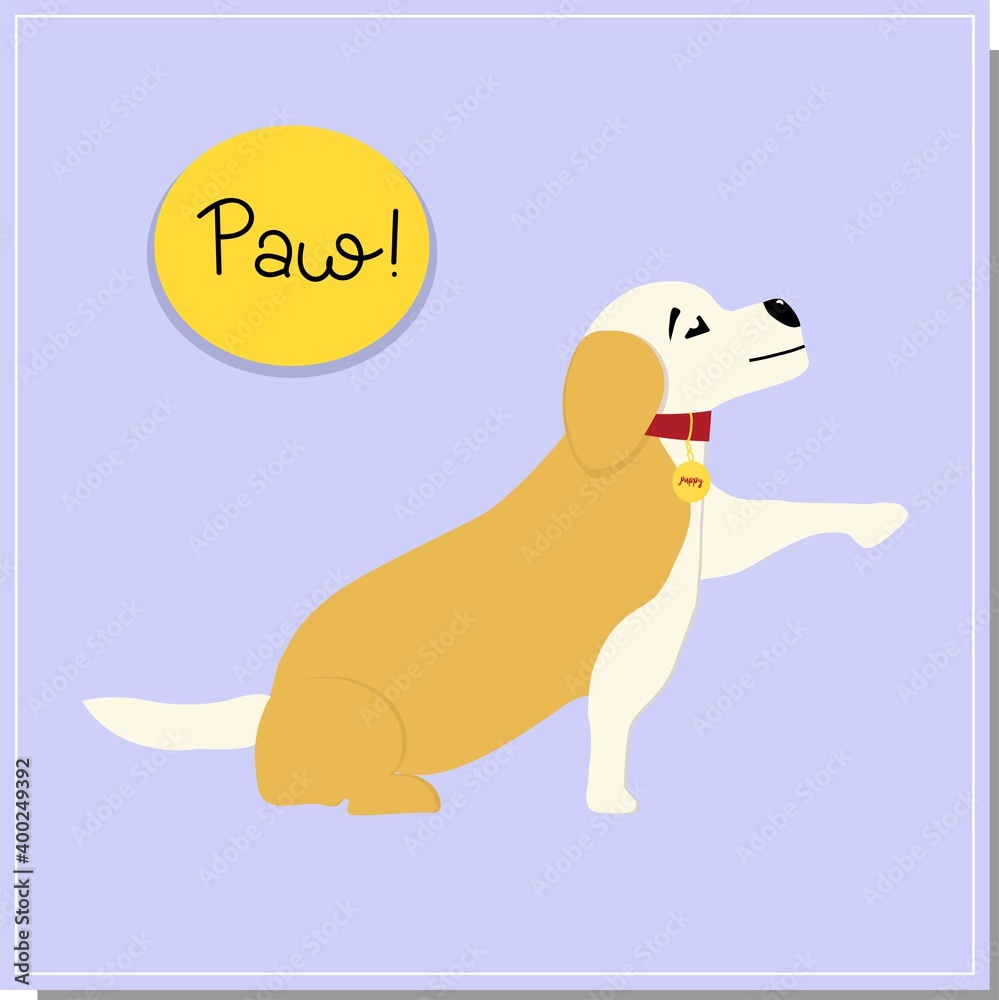 DOG training, the dog gives a paw. team.Beautiful dog training, great design for any purposes. Colleagues work together. DOG training, the dog gives a paw. team.Beautiful dog training, great design for any purposes. Colleagues work together.