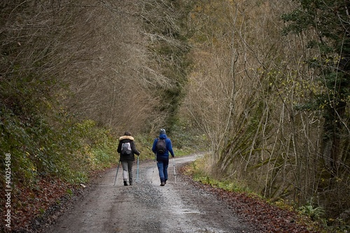 walking in the woods © Nicola