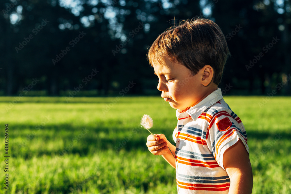 Beautiful cute boy in park blowing on dandelion in summer time at the sunset. Kid in the countryside bathing for sun light of dusk. Copy space. Beautiful cute boy in park blowing on dandelion in summer time at the sunset. Kid in the countryside bathing for sun light of dusk. Copy space.