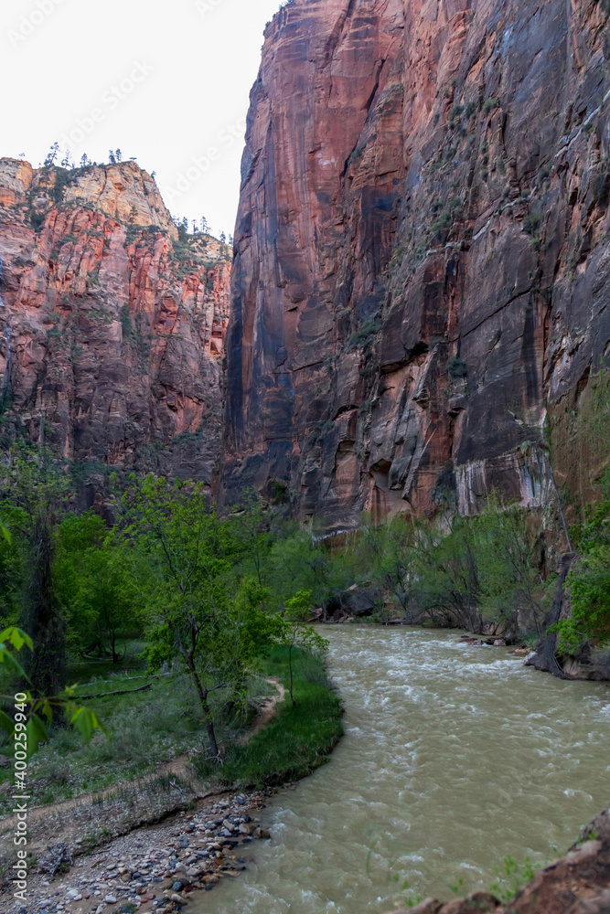 Fototapeta premium North Fork Virgin River, Zion National Park, Utah, USA