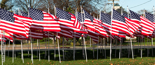 Canvas Print American flags on a lawn blowing in the wind