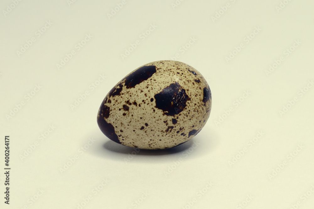 quail egg on a white background quail egg on a white background
