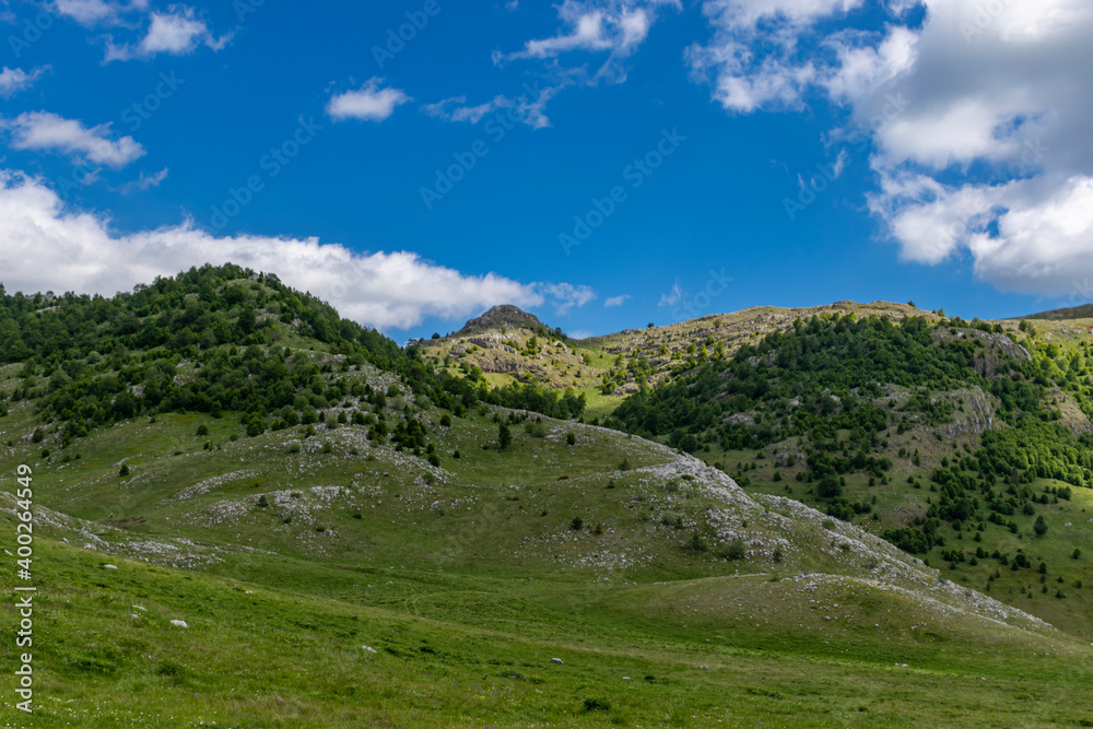 mountain landscape in the summer mountain landscape in the summer