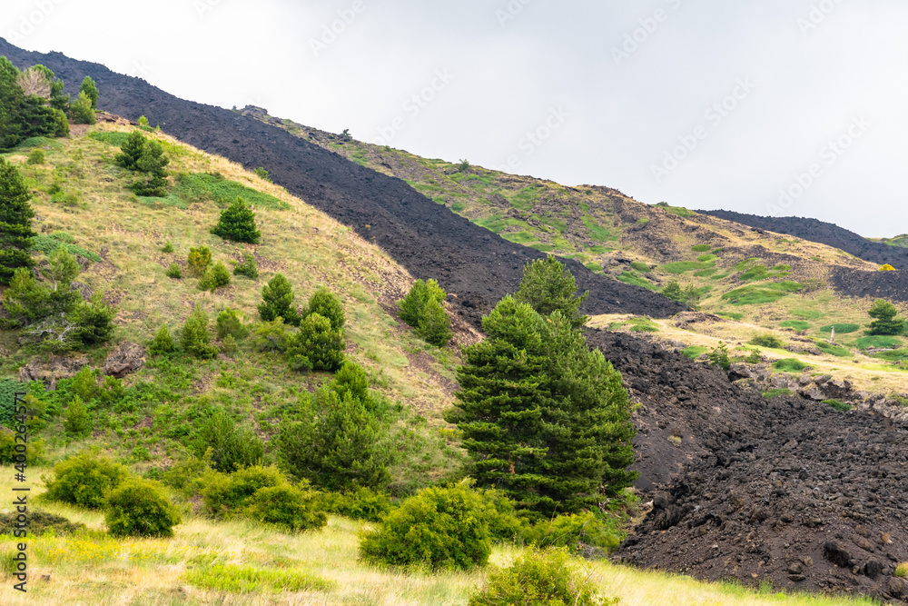 Fototapeta premium Mount Etna volcanic landscape and its typical summer vegetation