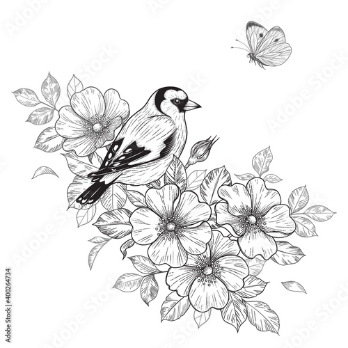 Hand Drawn Goldfinch Sitting on Dog-Rose Branch © val_iva