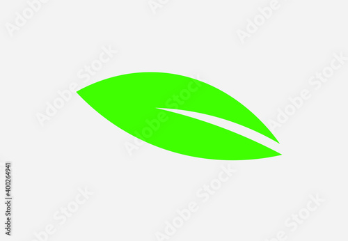 green leaf icon