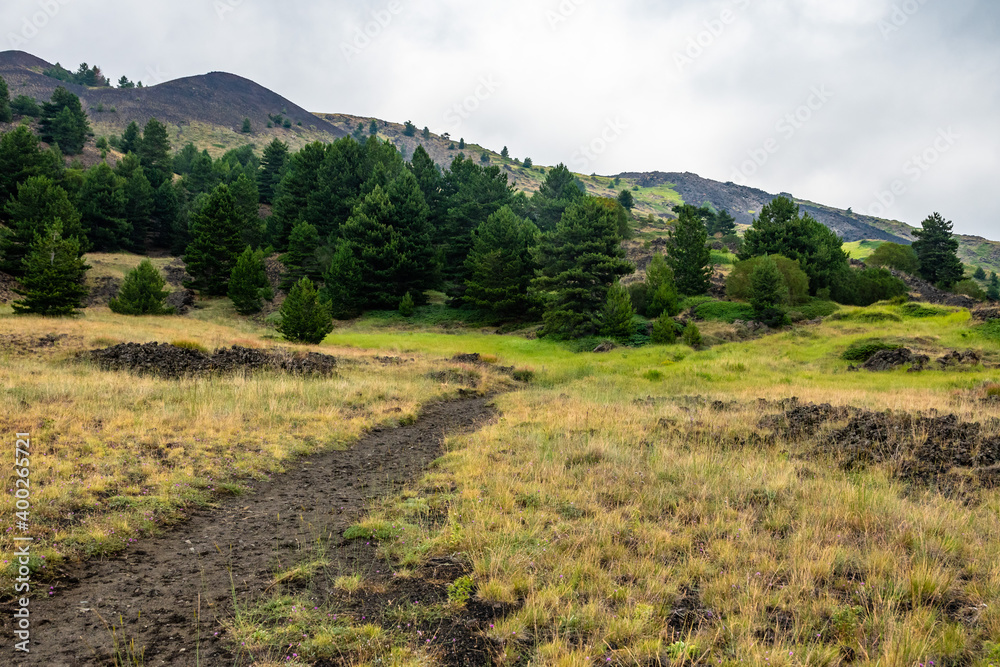 Fototapeta premium Mount Etna volcanic landscape and its typical summer vegetation