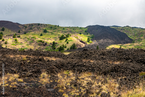 Mount Etna volcanic landscape and its typical summer vegetation photo