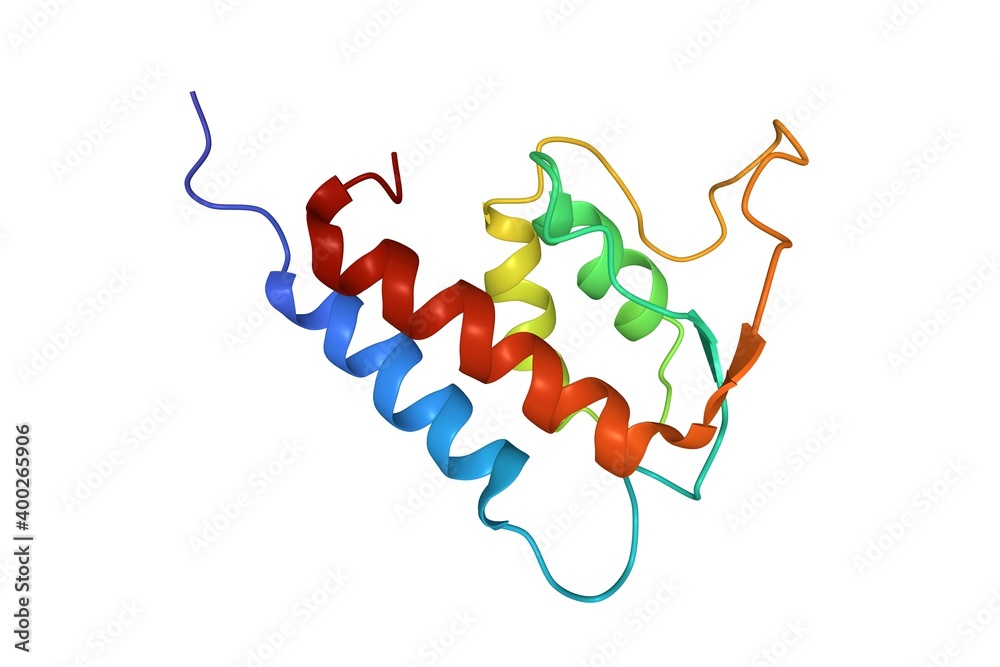 Structure of human interleukin13, 3D cartoon model isolated, white