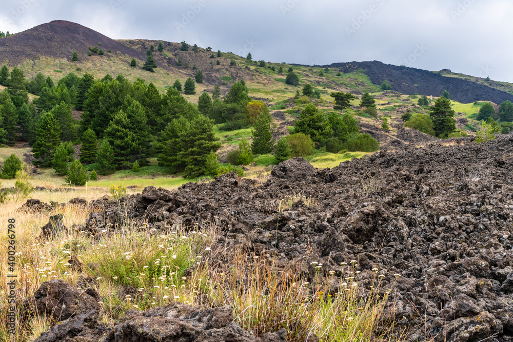 Mount Etna volcanic landscape and its typical summer vegetation