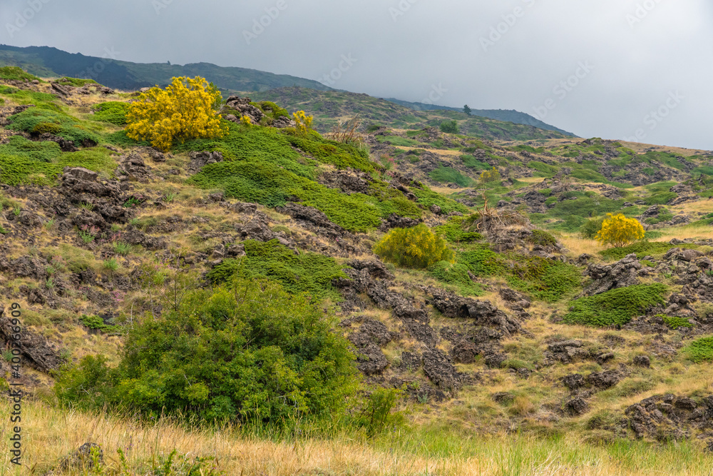 Fototapeta premium Mount Etna volcanic landscape and its typical summer vegetation