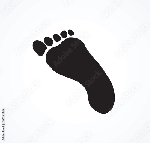 Foot. Vector drawing