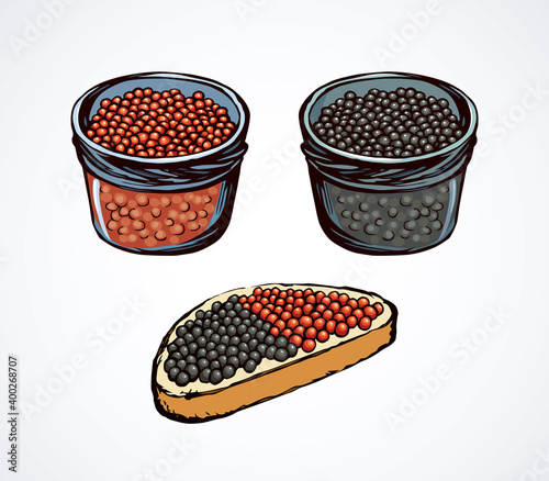 Caviar. Vector drawing