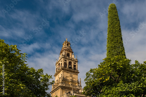 Spain, Andalusia,Cordoba, Minaret of Great Mosque of C√≥rdoba behind trees photo