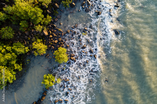 Australia, Queensland, Port Douglas, Aerial view of coastline with mangroves trees (Rhizophora) photo