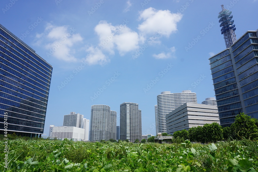 横浜みなとみらいの開発途中の空き地の風景