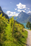 sunny day in Sisikon at Lake Uri in the Swiss Alps