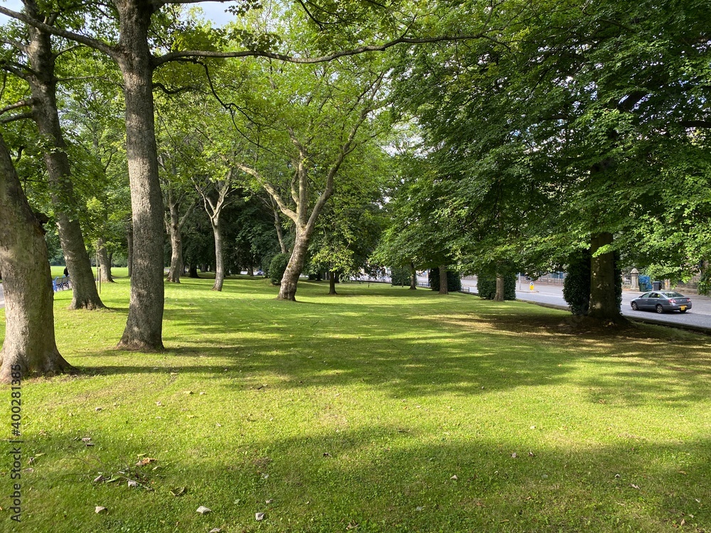 Parkland, with old trees, next to the main, Bradford to Keighley road Parkland, with old trees, next to the main, Bradford to Keighley road