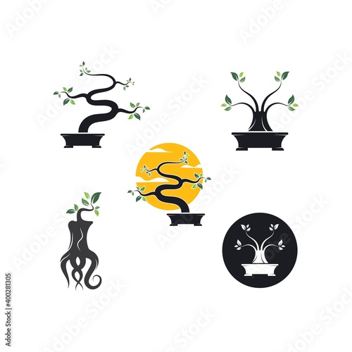 bonsai plant icon vector illustration design