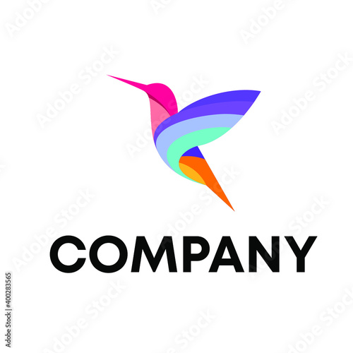 Humming Bird Logo Design 