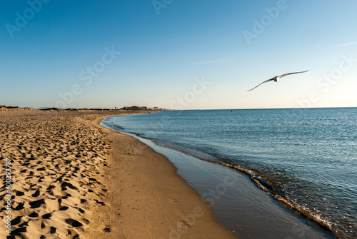 Tableau sur toile La Plage Sud de Canet en Roussillon, Perpignan, France
